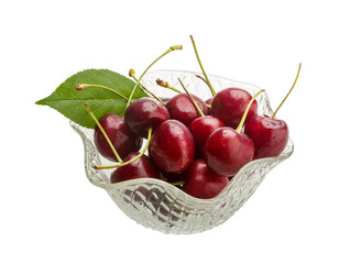 Gean - cherry