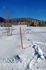 paysage d'hiver en savoie
