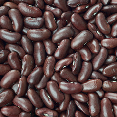 Black turtle beans texture background or pattern. Raw food.