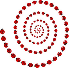 Ladybird spiral