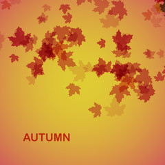 Autumn seasonal background