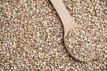 buckwheat