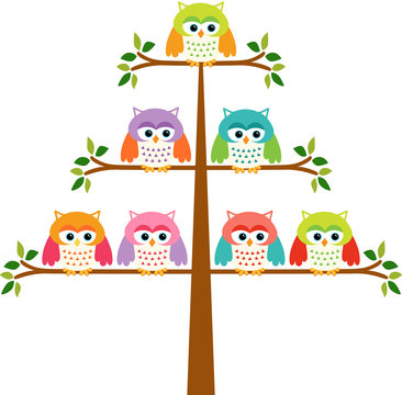 Owls in a Tree