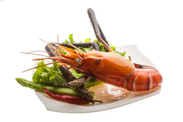 Giant Freshwater Prawn