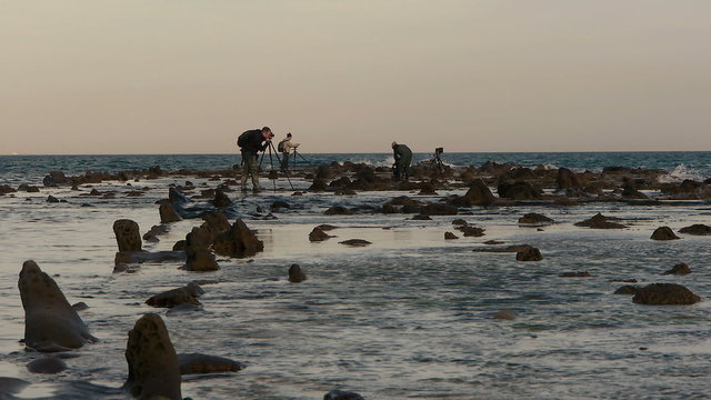 Photographs in flysch