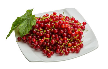 Red currant