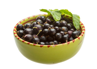 Black currant