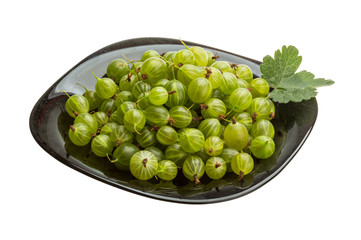 Gooseberry