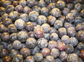 Freshly picked purple greengage in market stall