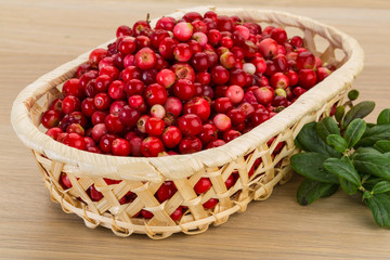 Cowberry