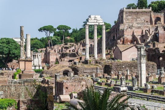Ruins of the Forum Romanum in Rome