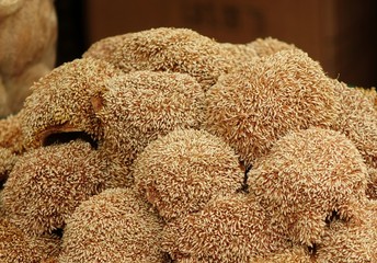 Fruit of the Fig Jelly Plant