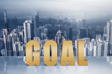 Concept of goal