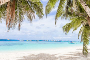 Fototapeta na wymiar palm trees on tropical beach and sea background, summer vacation