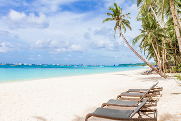 beach chairs and palm tree on sand beach, tropical vacations