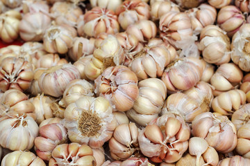 Garlic in the market