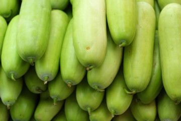 green hatch in the market.