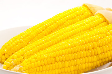 Three Sweet boiled corn on white background
