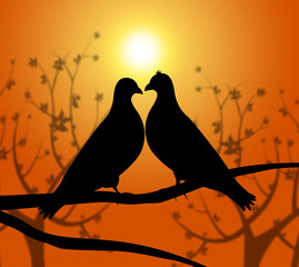 Love Birds Represents Heart Compassion And Boyfriend