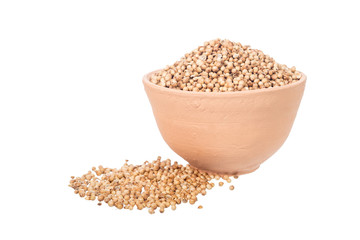 coriander seeds