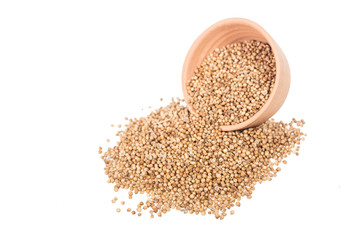 coriander seeds