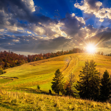 trees on autumn meadow in mountains at sunset