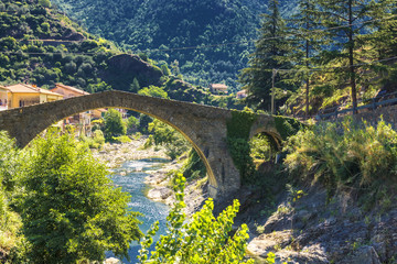 Fototapeta premium Brücke und Wald