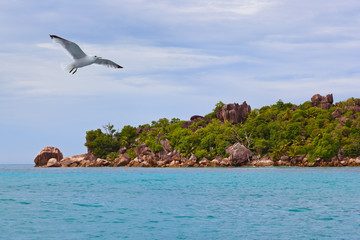 Naklejka premium Tropical island La Digue - Seychelles