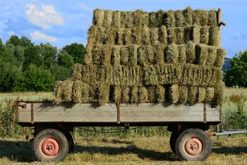 Ackerwagen, q.