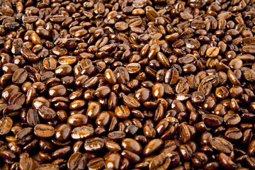 brown background from coffee grains