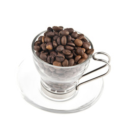 the cup of coffee