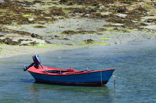 fishing boat and seaweed