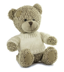 Soft toy bear on white background