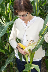 Women farmers controls his corn field