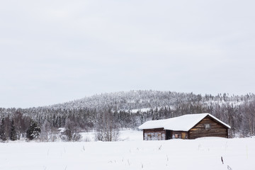 H&uuml;tte im finnischen Wald, Kittil&auml;ntie, Finnland, Skandinavien