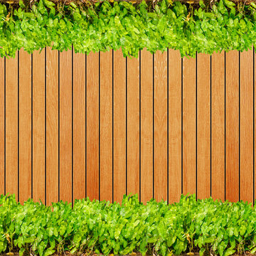 Wood texture background plank panel timber and green plant Calad