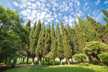 Sochi, Krasnodar region, Russia