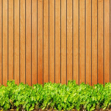Wood texture background plank panel timber and green plant Calad
