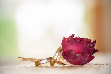 Verliebt, verlobt, verheiratet