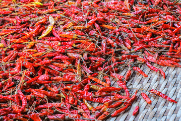 Fototapeta premium The Dried Chilli (chili, chilli, food)