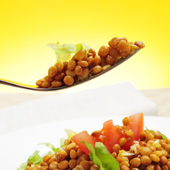 lentil salad