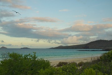 Beach on Floreana Island, Galapagos Islands