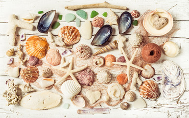 Fototapeta na wymiar Seashells collection background, toned.Beach decoration.
