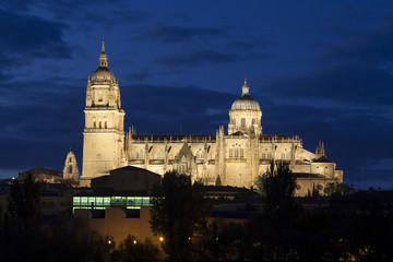 Fototapeta na wymiar Cathedral of Salamanca, Castilla y Leon, Spain