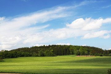 Summer landscape with grass field