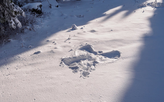 Snow angel in deep snow on a forest clearing