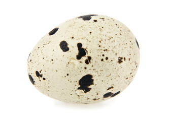 quail eggs