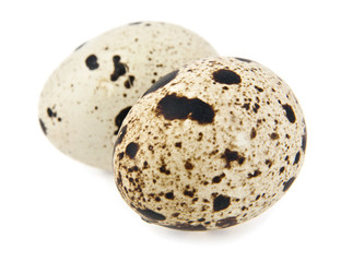 quail eggs
