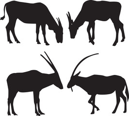 Vector silhouettes of animals