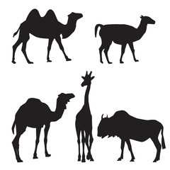 Vector silhouettes of animals